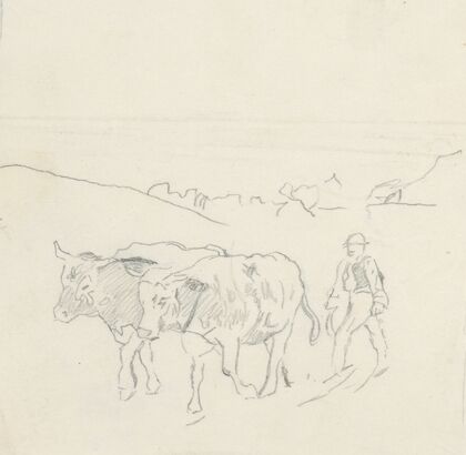 From the Fields