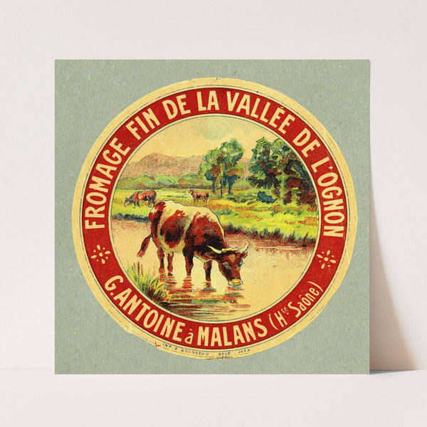 Fromage fin de la vallée de l’Ognon