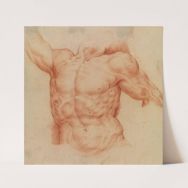 Front view of Laocoon’s torso (1628 – 1630) by Willem Panneels