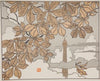 Frontiscpice (1902)