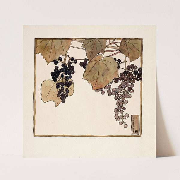 Frost Grape by Hannah Borger Overbeck