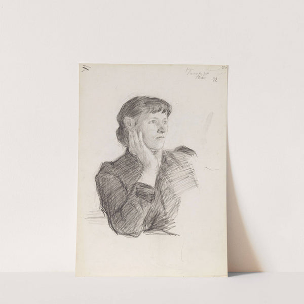 Fru Schneider fra Skien by Signe Scheel