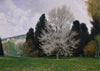 Frühling im Wienerwald