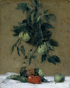 Fruit (ca. 1888)