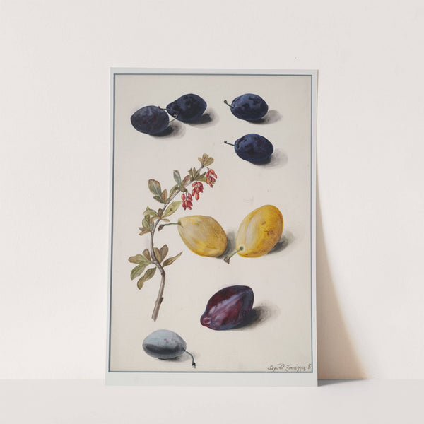 Fruits by Leopold Zinnögger