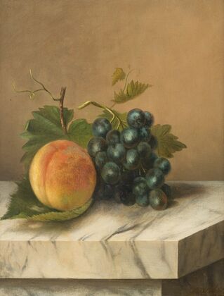 Fruits still life