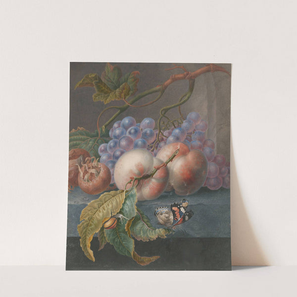 Fruits With A Butterfly And A Snail by Herman Henstenburgh