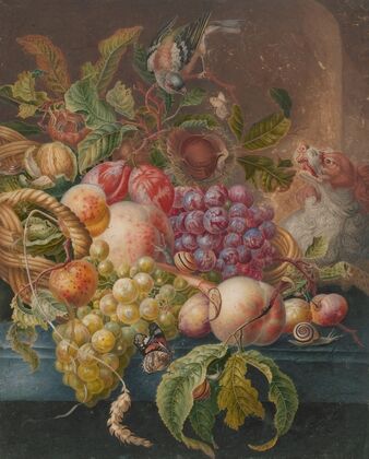 Fruitstilleven