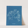 Fucus Machaii by Anna Atkins
