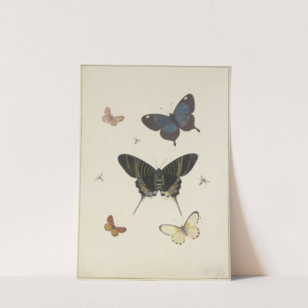 Fünf Schmetterlinge und drei Insekten by Pieter Withoos