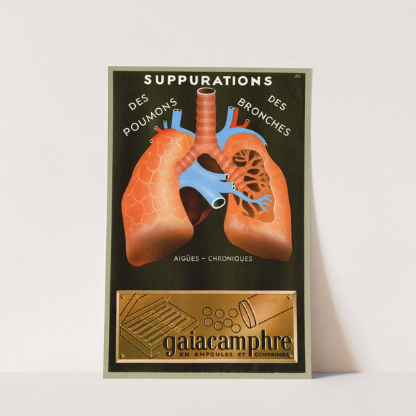 Gaiacamphre (1910-1950) by Jéa