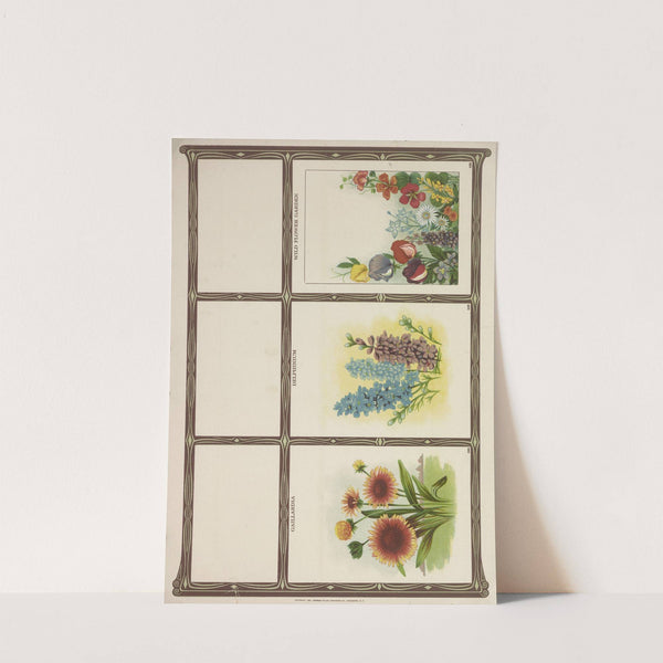 Gaillardia, Delphinium, Wtld flower garden (1921) by Genesee Valley Lithograph Co.