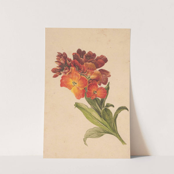 Gałązka laku by Henryka Beyer