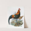 Gallus ferrugineus. (1872) by Joseph Smit