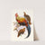 Gallus La-Fayettei. by Joseph Smit