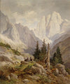 Gämsen im Hochgebirge