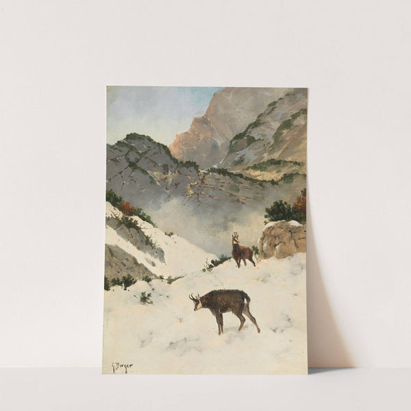 Gämsen im Hochgebirge by Georg Berger