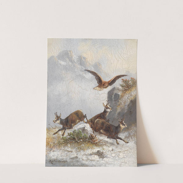 Gämsen von Adler verfolgt by Moritz Müller