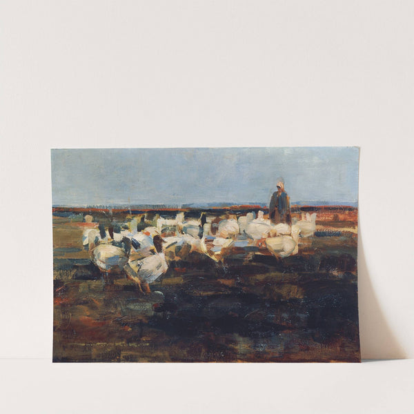 Gänseherde auf der Weide by Demeter Koko