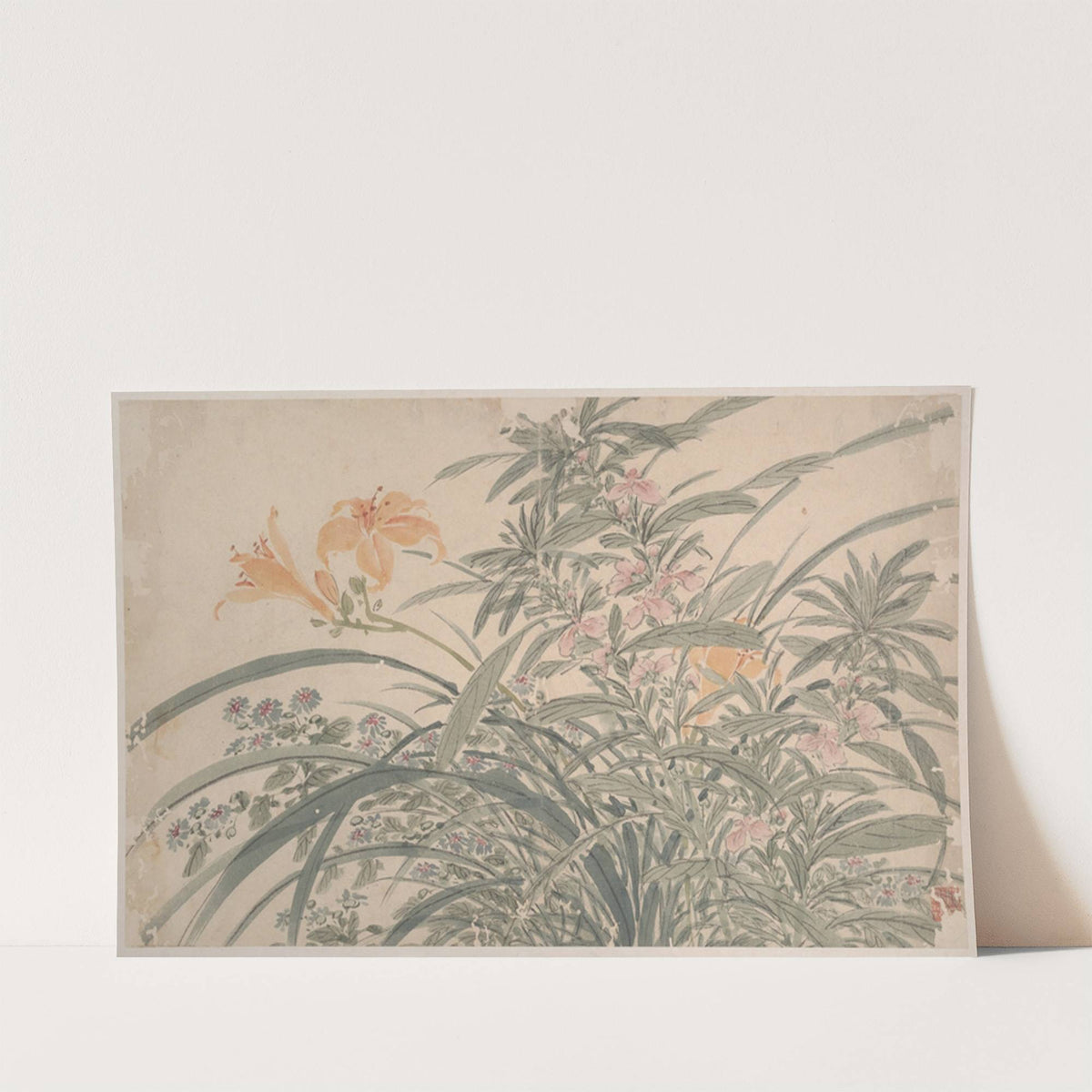 Garden Flowers Pl.15 (1540) by Chen Chun