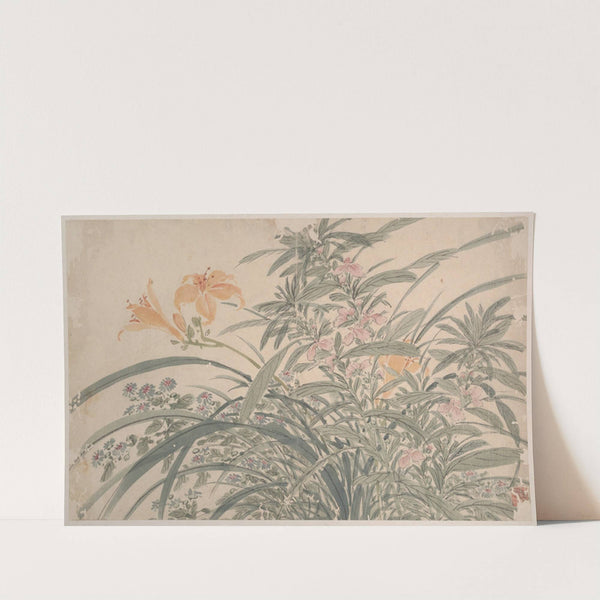 Garden Flowers Pl.15 (1540) by Chen Chun
