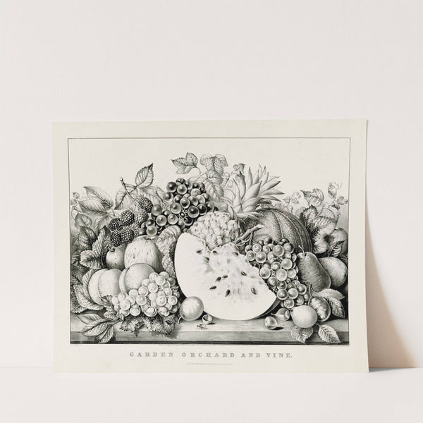 Garden orchard and vine (1867) by Currier & Ives.