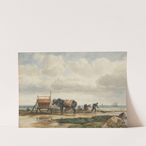 Gathering seaweed by Richard Beavis