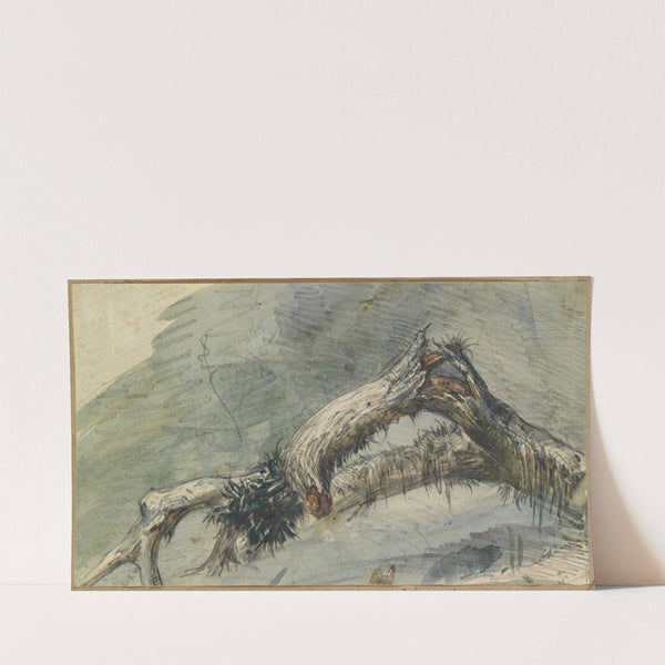 Geborstener Ast (1858) by Ferdinand Keller