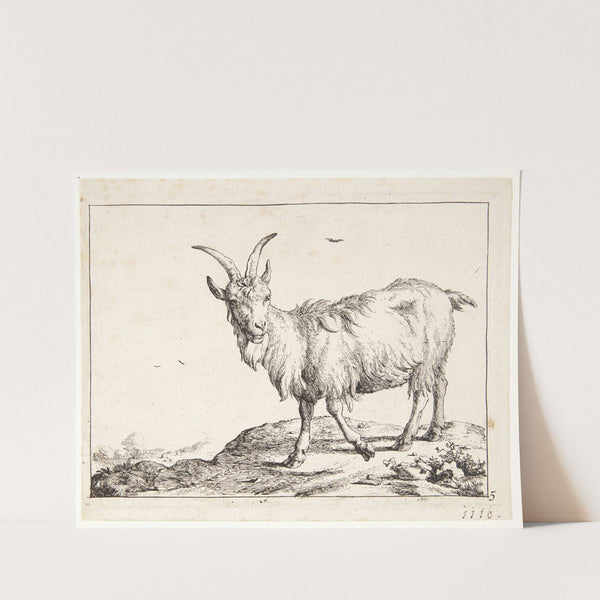 Ged gående mod venstre by Marcus de Bye