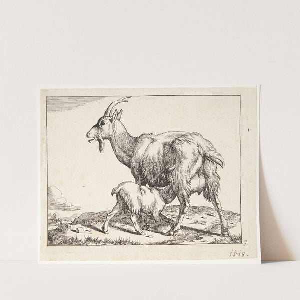 Ged med et diende kid by Marcus de Bye