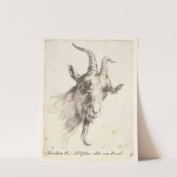 Gedehoved vendt mod højre by Nicolaes Pietersz. Berchem