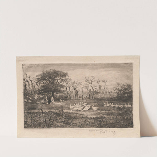 Geese (1887) by Félix Hilaire Buhot