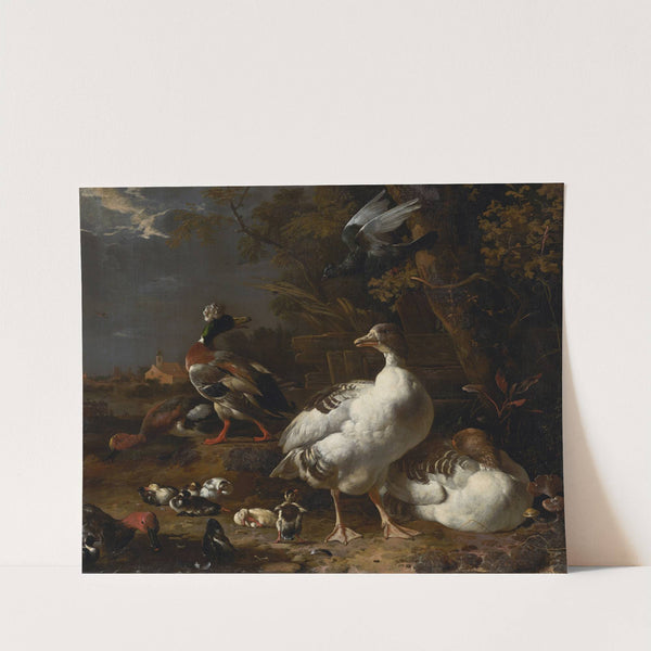 Geese and Ducks (c. 1680) by Melchior d'''Hondecoeter