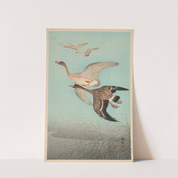 Geese flying over reed (circa 1926) by Ohara Koson