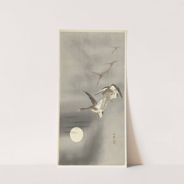 Geese in flight by Ohara Koson