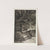 Gefallener Reiter (Intermezzi, Opus IV, Blatt 11) (1881) by Max Klinger