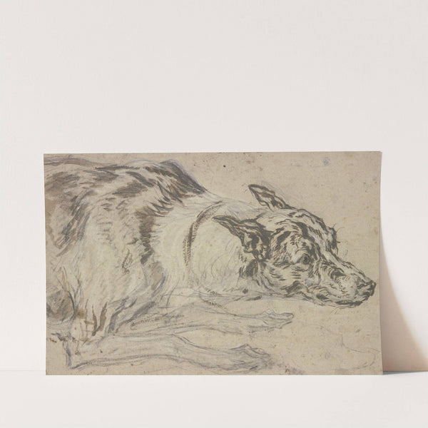 Gefleckter Hundekopf mit Vorderpfoten by Frans Snyders