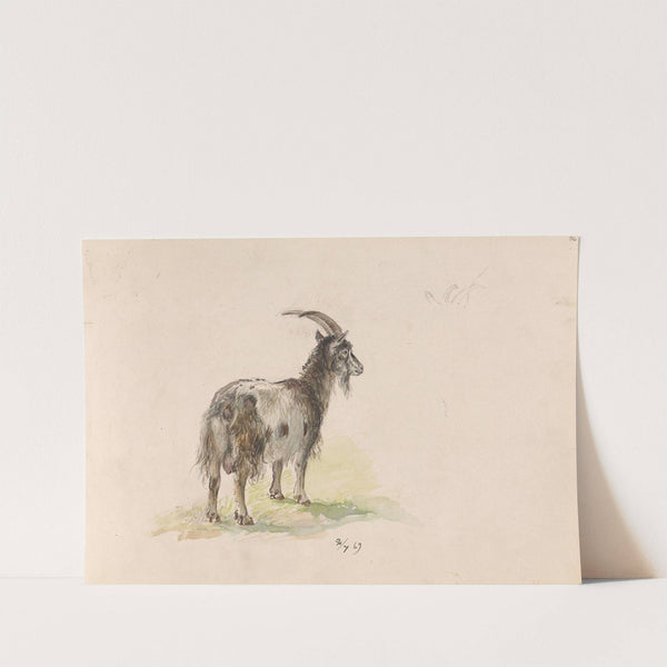 Geit (1869) by Adolph Tidemand