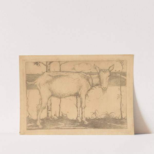 Geit op oever (1912 - 1913) by Jan Mankes