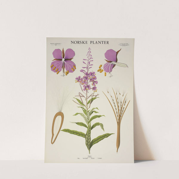 Geitrams (1930) by Parmanns Læremiddel-anstalt