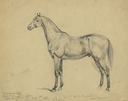 General U.S. Grant’s war horse
