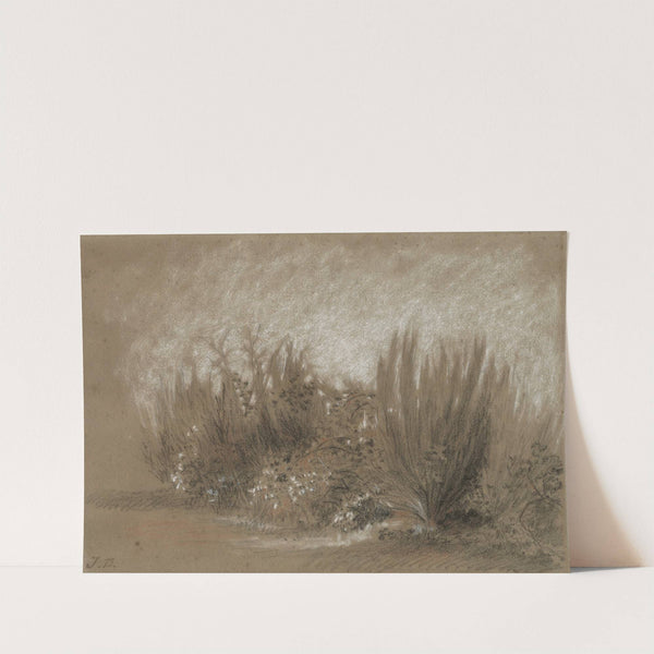 Genets et Ronces (Broom and Brambles) (1860s) by Jules Dupré