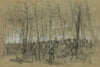 Genl. Wadsworths division in action in the Wilderness, near the spot where the General was killed