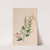 Geranium by John Stevens Henslow