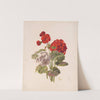 Geranium, no. 5 (1874) by Charles Ryan