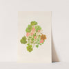 Geranium Traversii by Georgina Burne Hetley
