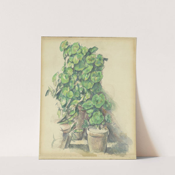 Geraniums (1888-1890) by Paul Cézanne