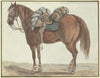 Gesattelter Brauner nach links