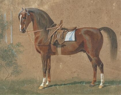 Gesattelter Hengst (1865)