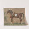 Gesattelter Hengst (1865) by Emil Volkers